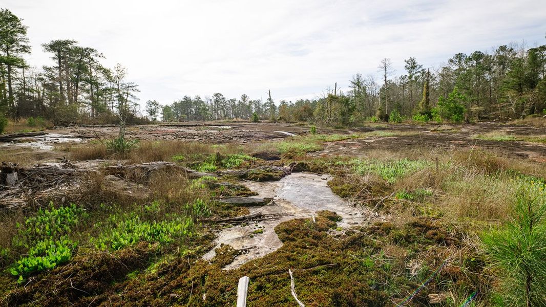 Natural landscape and outdoor views near Wellington Park in Lithonia (Image 21). Natural landscape and outdoor views near Wellington Park in Lithonia (Image 21).