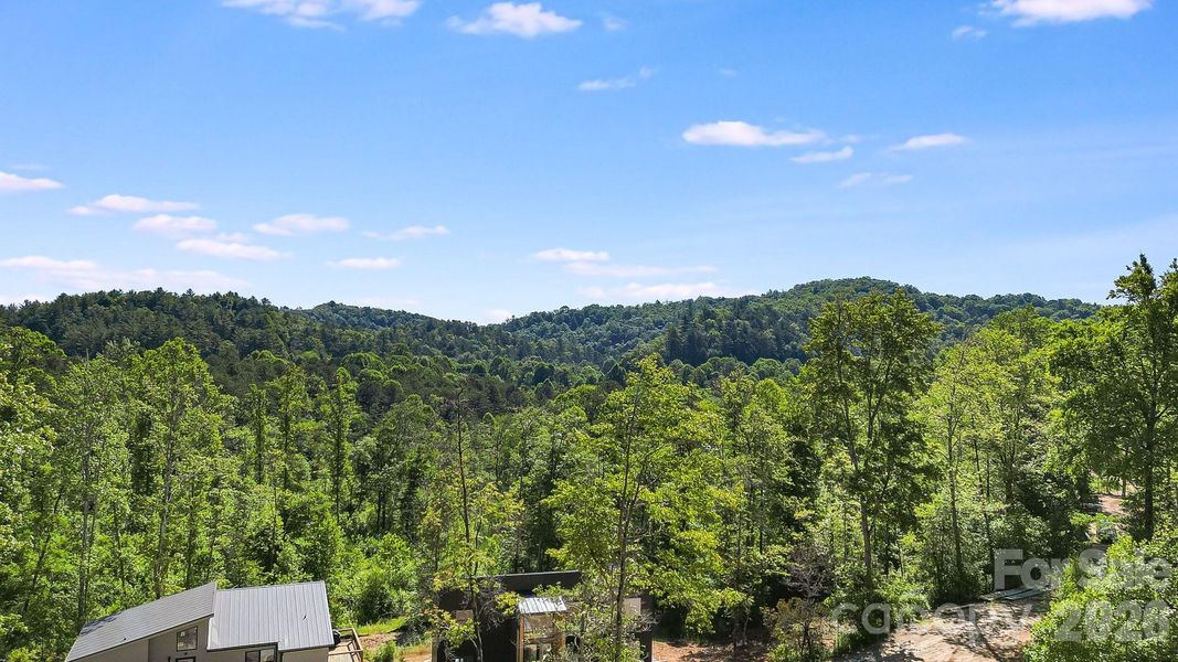 Natural landscape and outdoor views near  in Lake Toxaway (Image 26).
