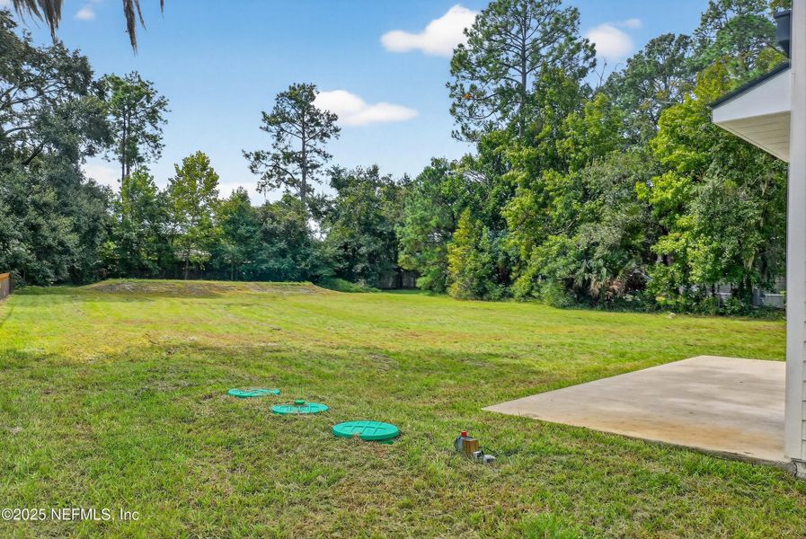 Natural landscape and outdoor views near  in Jacksonville (Image 51).