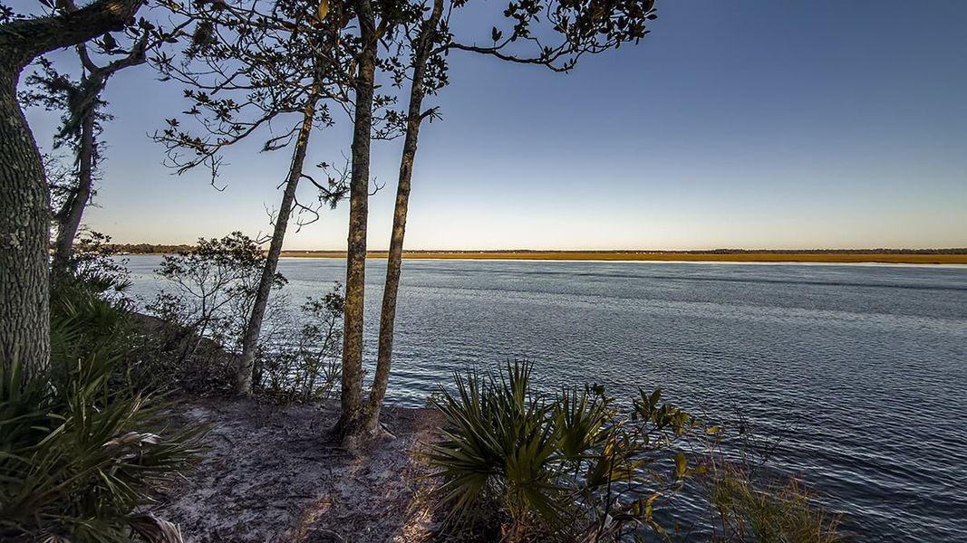 Natural landscape and outdoor views near Esplanade at St. Marys in St. Marys (Image 39).