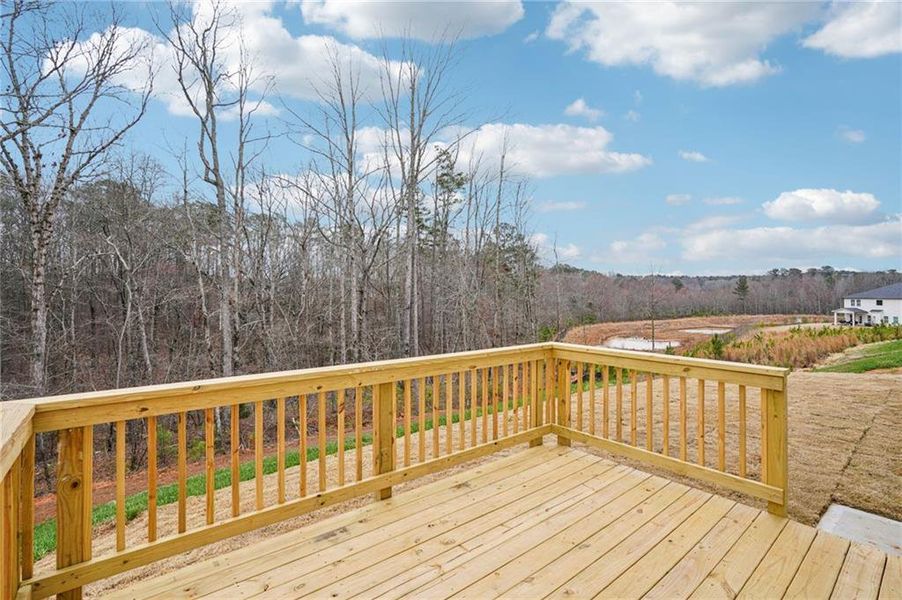 Exterior details and patio area of a home in Hemingway - Reserve Series, Cumming (Image 29).