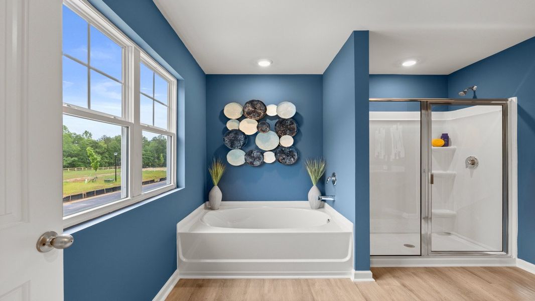 Representative furnished interior of a home built from the SUDBURY 24' TOWNHOME by D.R. Horton in Falcon Landing Townhomes, Gainesville (Image 29).
