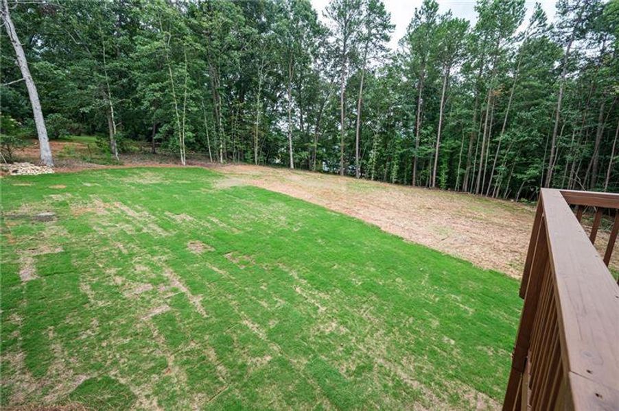 Natural landscape and outdoor views near  in Monroe (Image 67).