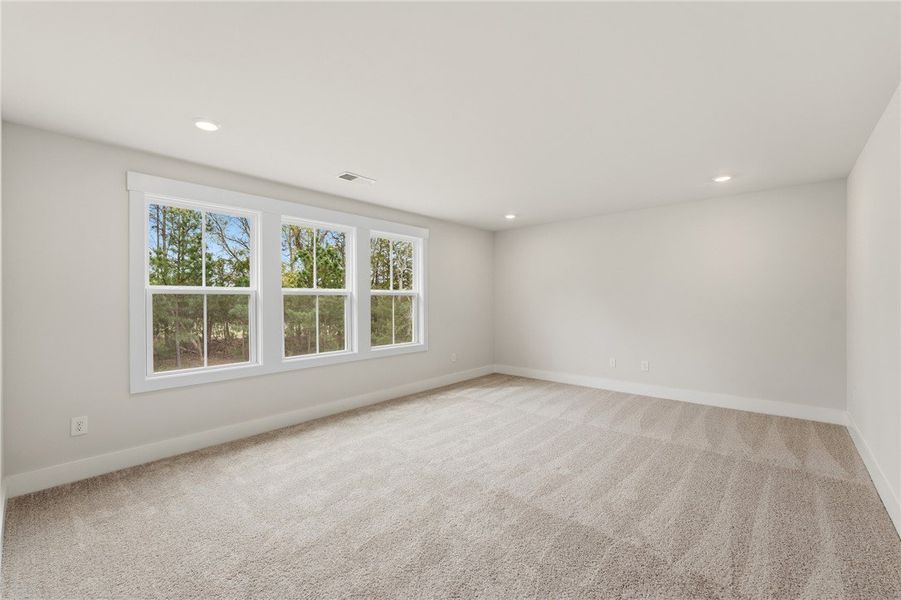 This spacious room features ample natural light an