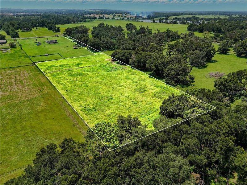 Natural landscape and outdoor views near  in Dade City (Image 7).