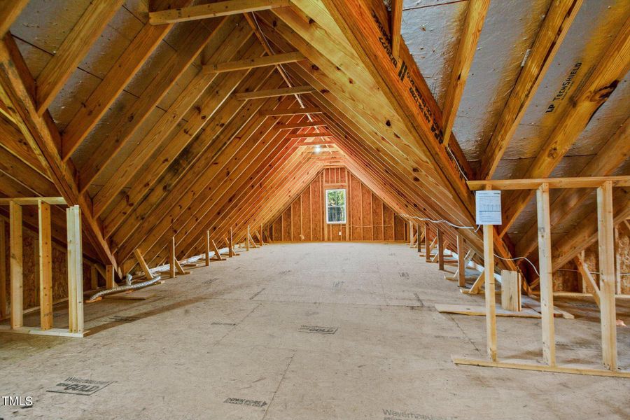 31-web-or-mls-_S0A1209