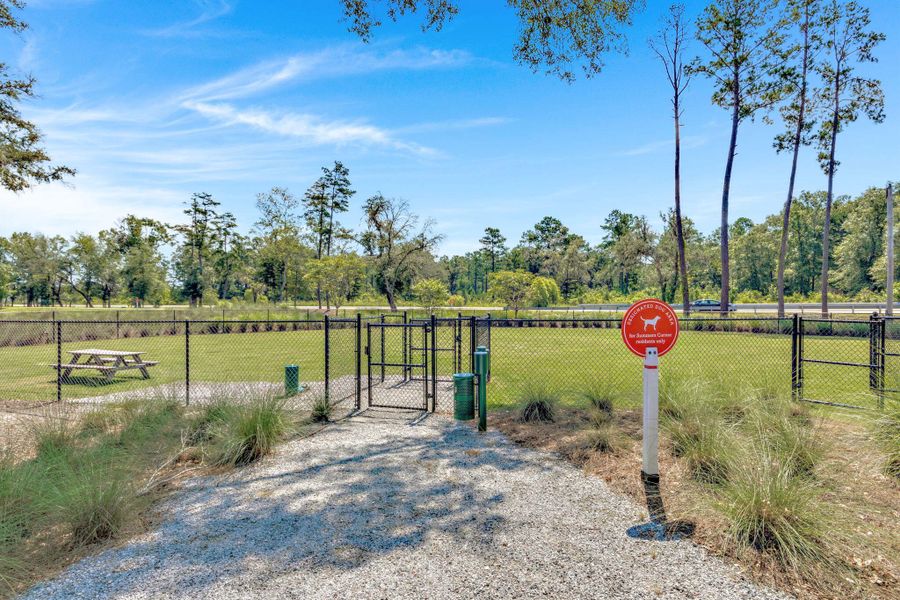Community amenities in Heron's Walk at Summers Corner, Summerville (Image 51).