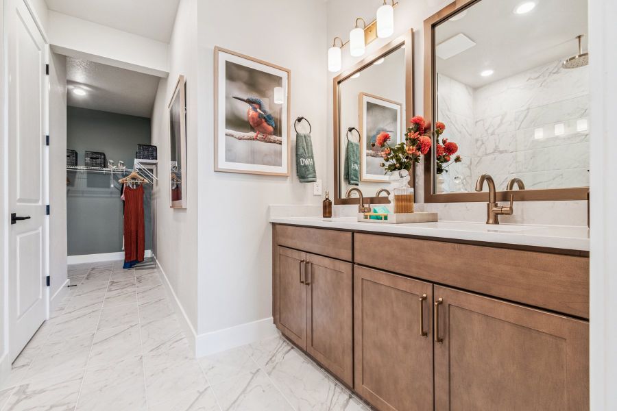 Owner's Bath