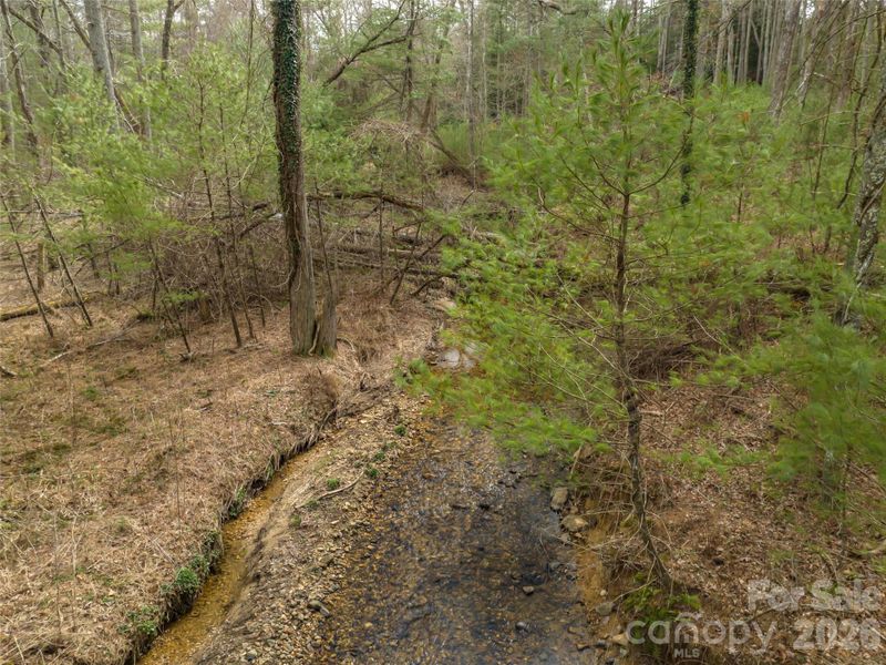 Natural landscape and outdoor views near  in Asheville (Image 29).
