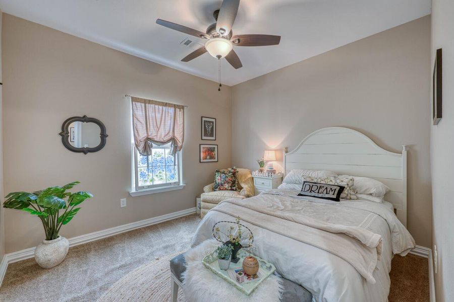 Carpeted room featuring a ceiling fan with integrated lighting, a window with a valance, and white baseboards