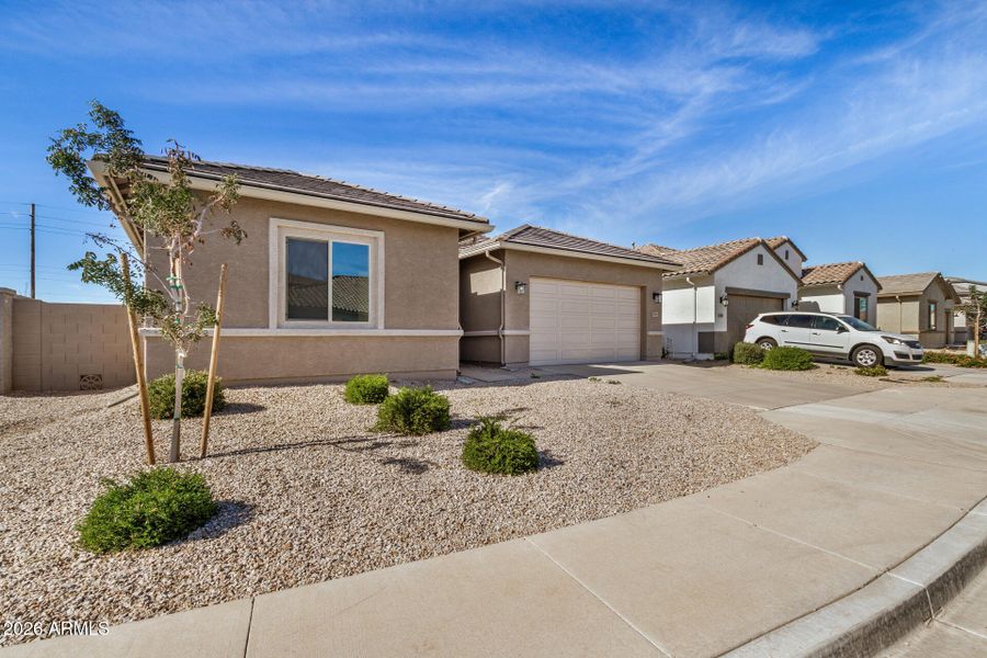 05 - Hayweather 05 - Hayweather