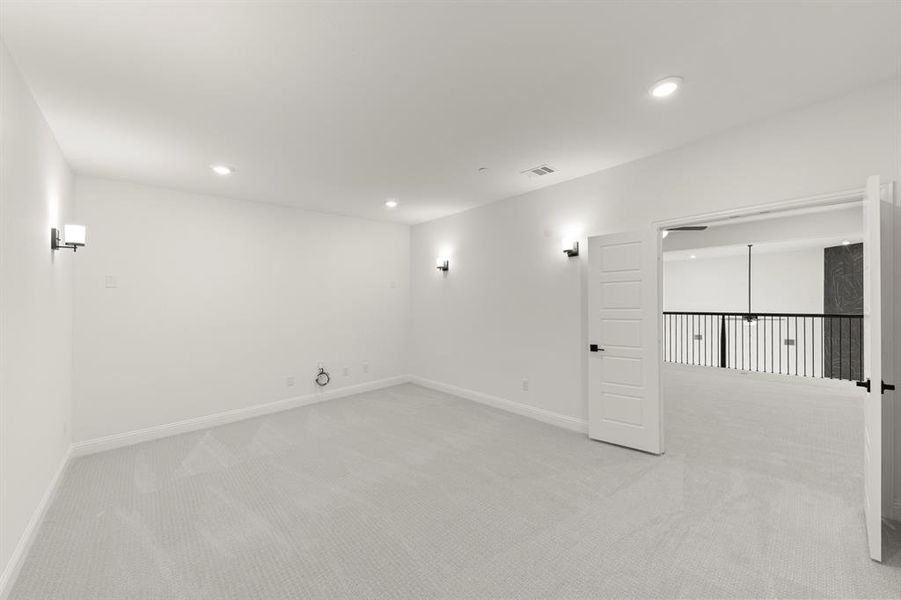 20. 405 Wood Duck - Media