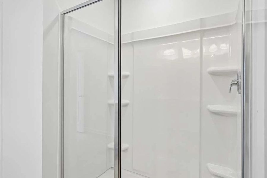 Primary Bathroom Walk-In Shower