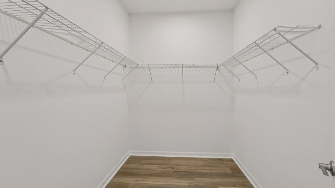 The Walk-In Closet