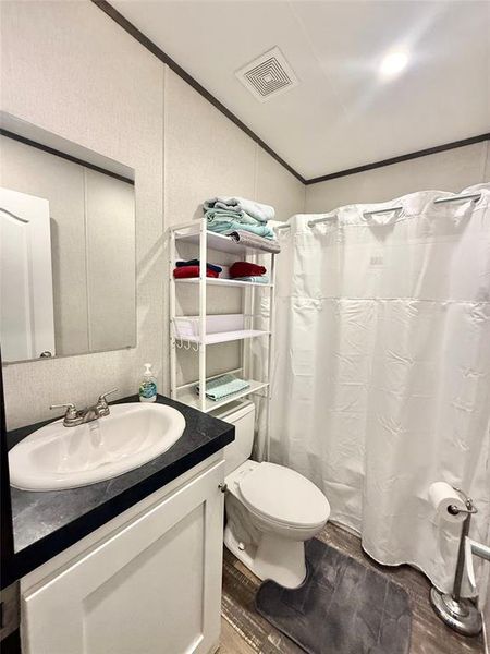 Bathroom featuring a shower with curtain, vanity, dark wood finished floors, and ornamental molding