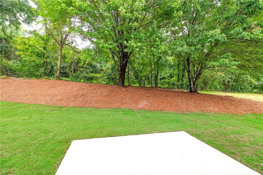 Natural landscape and outdoor views near in Dawsonville (Image 16). Natural landscape and outdoor views near in Dawsonville (Image 16).