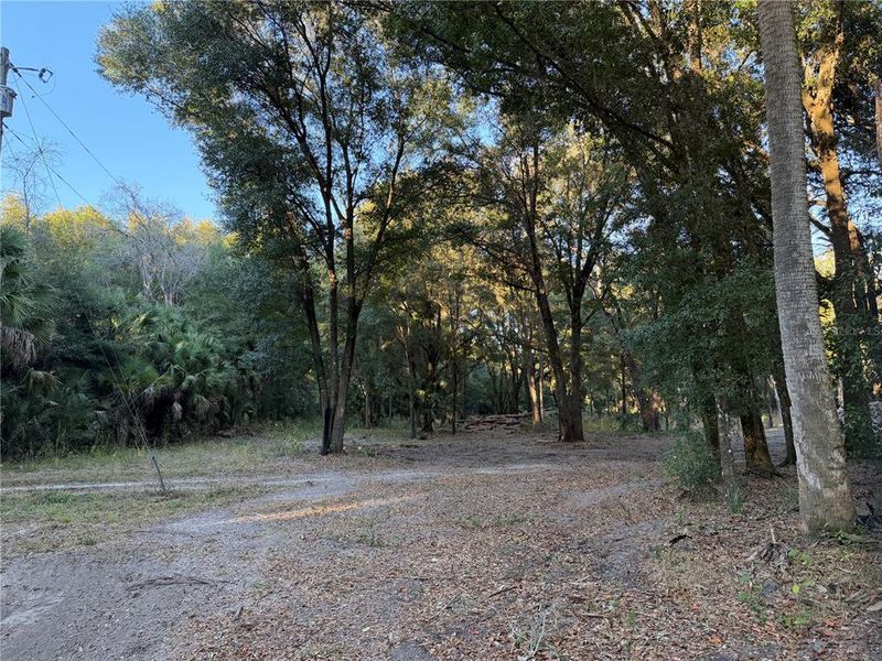Natural landscape and outdoor views near  in Citra (Image 13).