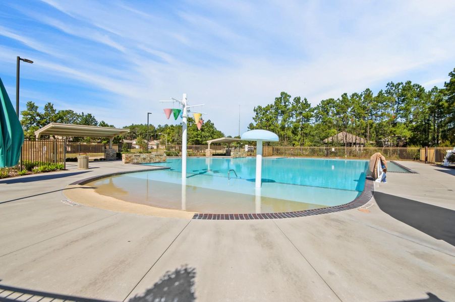 Community amenities in Porters Mill, New Caney (Image 12).