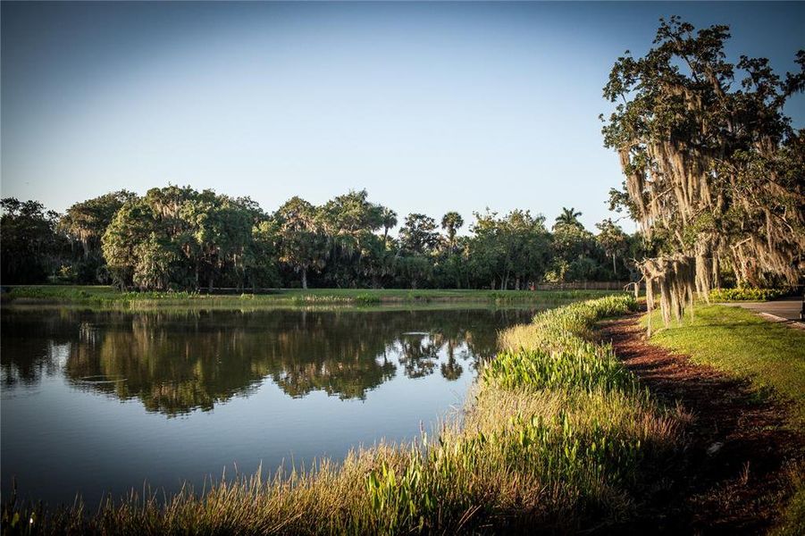 Natural landscape and outdoor views near  in Fort Myers (Image 31).