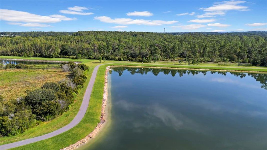 Natural landscape and outdoor views near  in Wesley Chapel (Image 62).