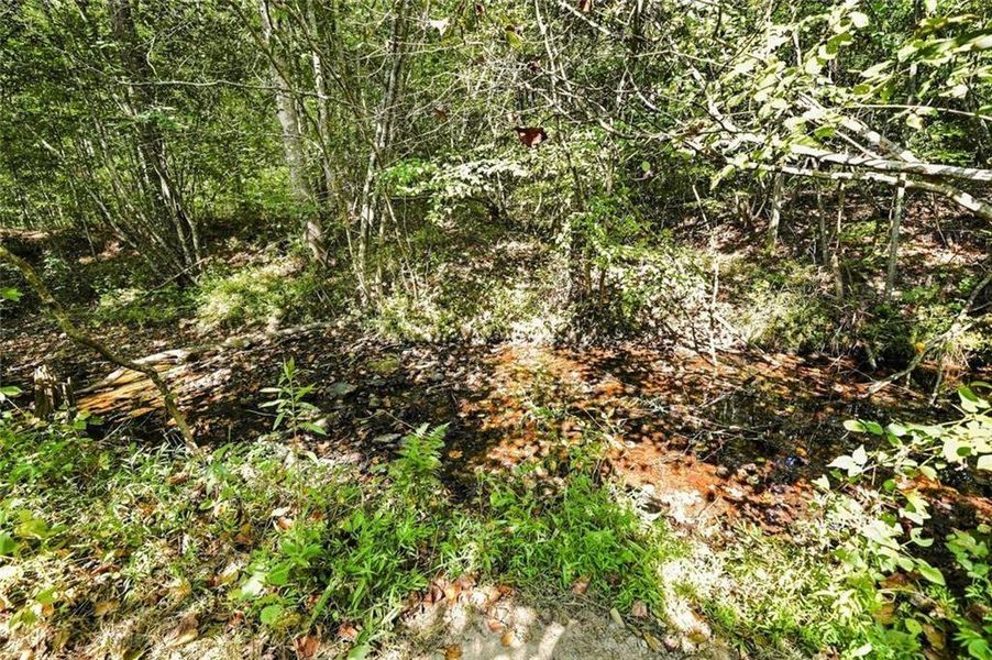 Natural landscape and outdoor views near  in Canton (Image 61).