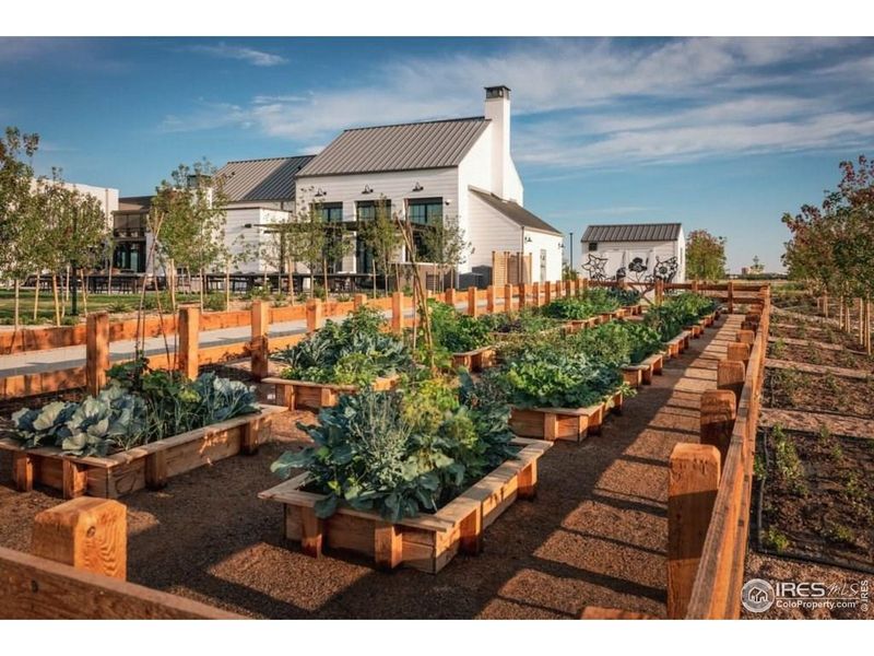 Community amenities in , Loveland (Image 36).