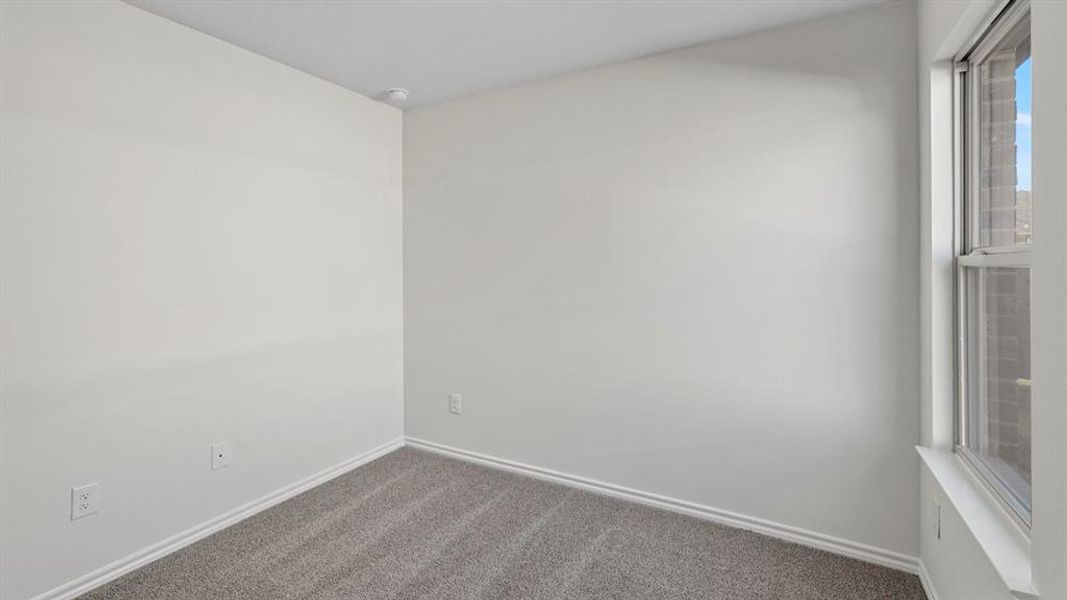 Empty room with dark colored carpet and baseboards