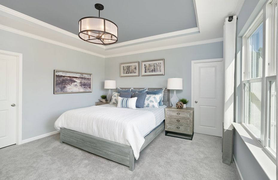 Retreat to the owner's suite with tray ceiling det