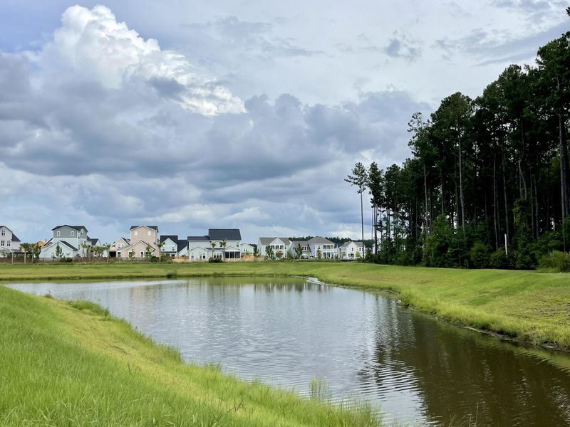 Image 65 of a home in Midtown at Nexton.