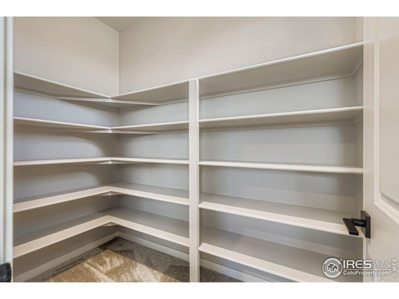 spacious walk in pantry