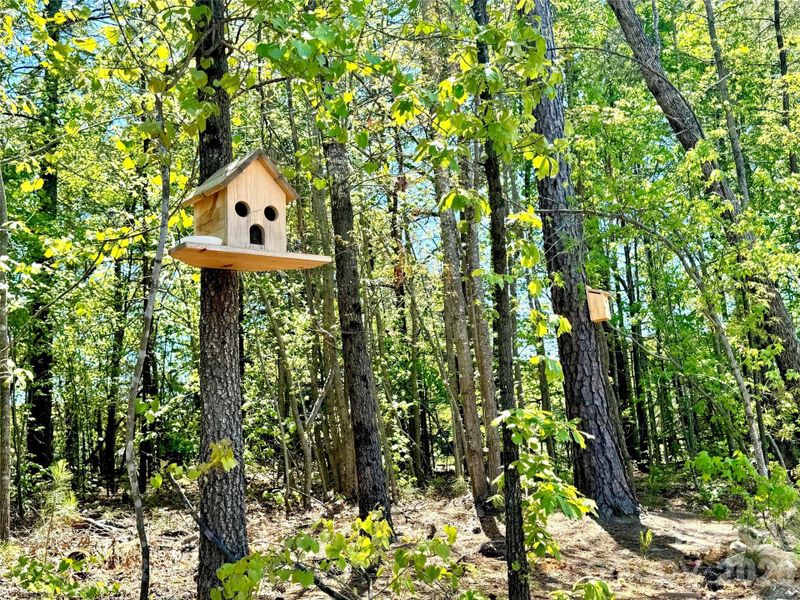 Image 47 of a home in Westport. Image 47 of a home in Westport.