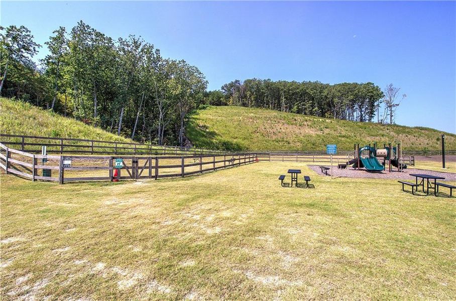 Community amenities in , Cartersville (Image 35).