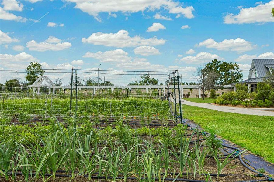 Natural landscape and outdoor views near Angeline in Land O' Lakes (Image 32).