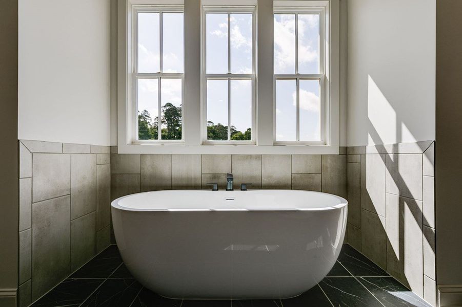 Furnished interior view inside a new home in Harmon Springs, Carrollton (Image 20).