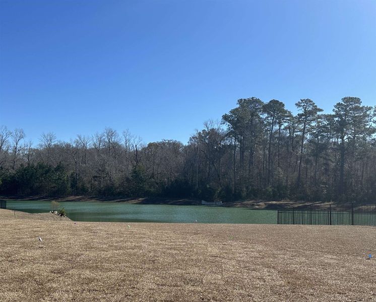 Natural landscape and outdoor views near Oak Hollow in Longs (Image 18). Natural landscape and outdoor views near Oak Hollow in Longs (Image 18).