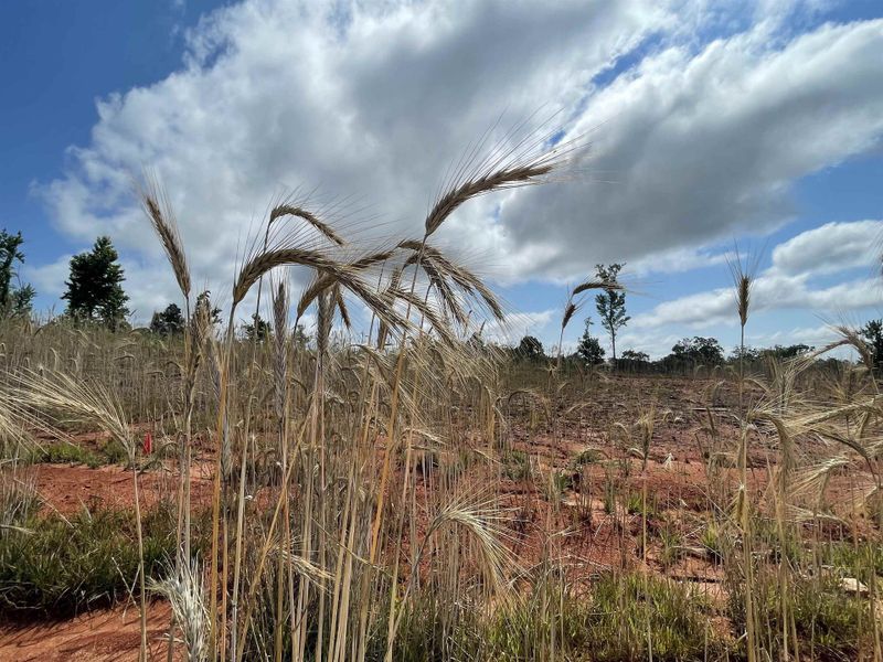 Image 24 of a home in Tubbs Mountain Estates. Image 24 of a home in Tubbs Mountain Estates.