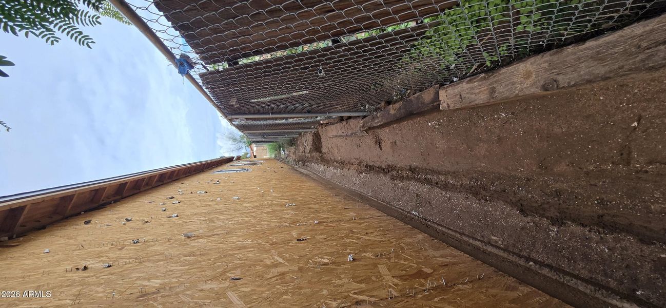 20251123_135818 20251123_135818