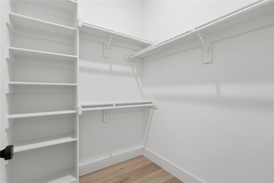Spacious walk-in closet featuring light wood-finish flooring