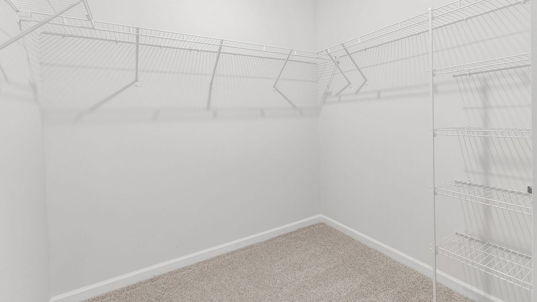Spacious, unfurnished interior of a new home in Waverly Place, Linwood (Image 21).