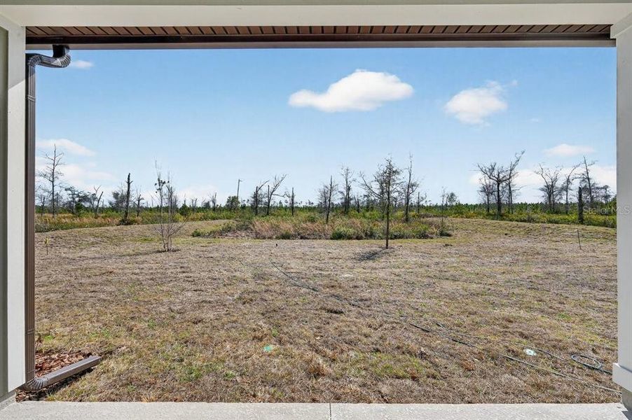 Exterior details and patio area of a home in Stables at Cary Forest, Bryceville (Image 4).