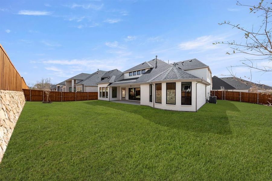 53. 521 Twilight - Back (2)