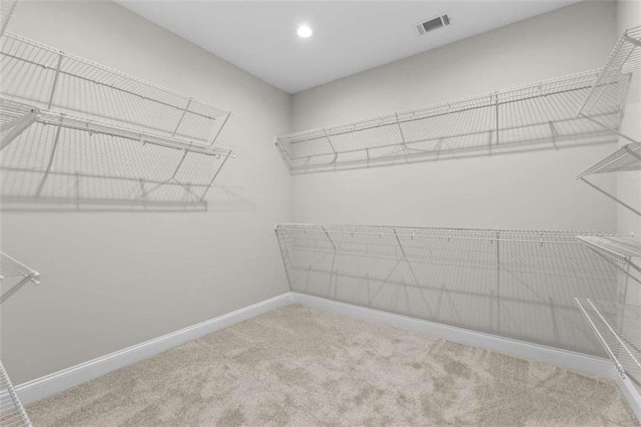 Spacious, unfurnished interior of a new home in , Bowdon (Image 35).