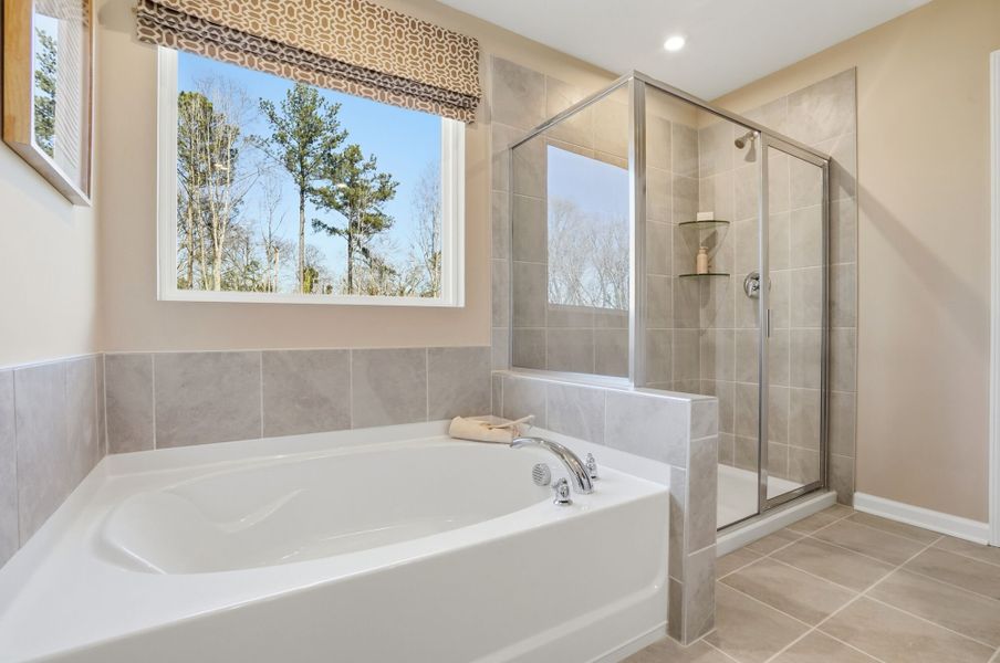 Redwood Model owner's bath