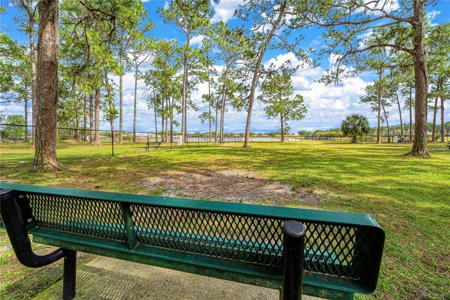 Natural landscape and outdoor views near  in Sebring (Image 40).