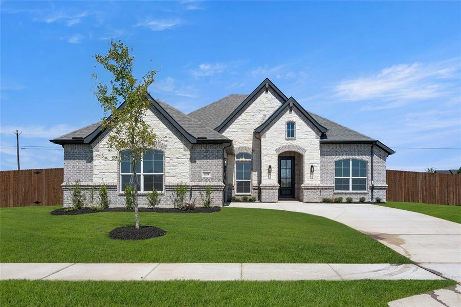 108 Red Fox- Front-1 108 Red Fox- Front-1