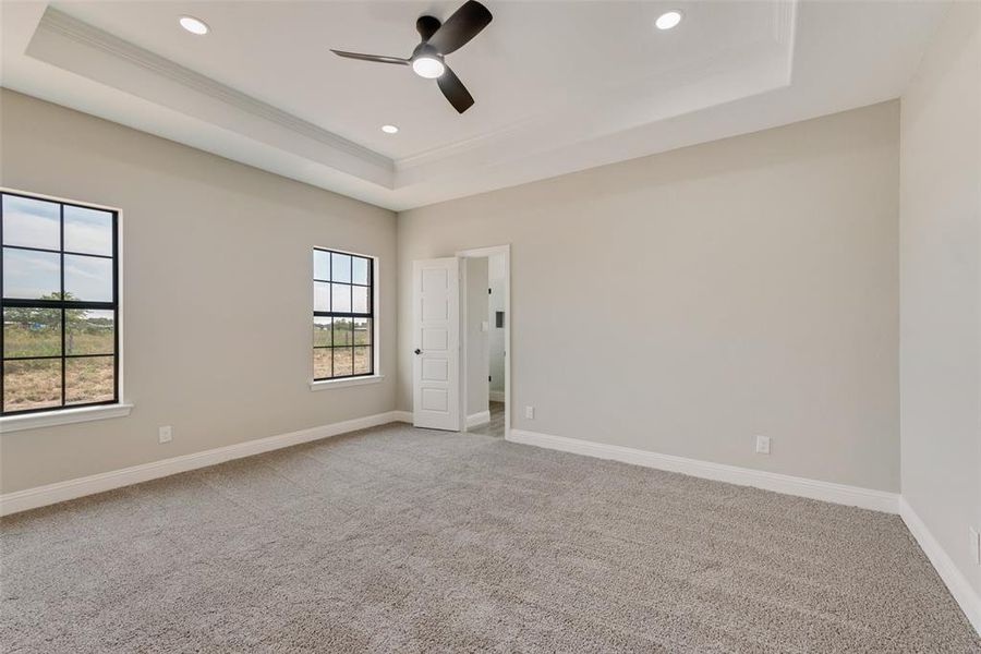 Carpeted spare room featuring ceiling fan and a tray ceiling