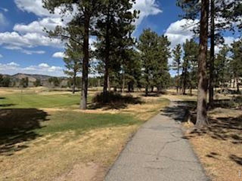 Natural landscape and outdoor views near  in Red Feather Lakes (Image 40).