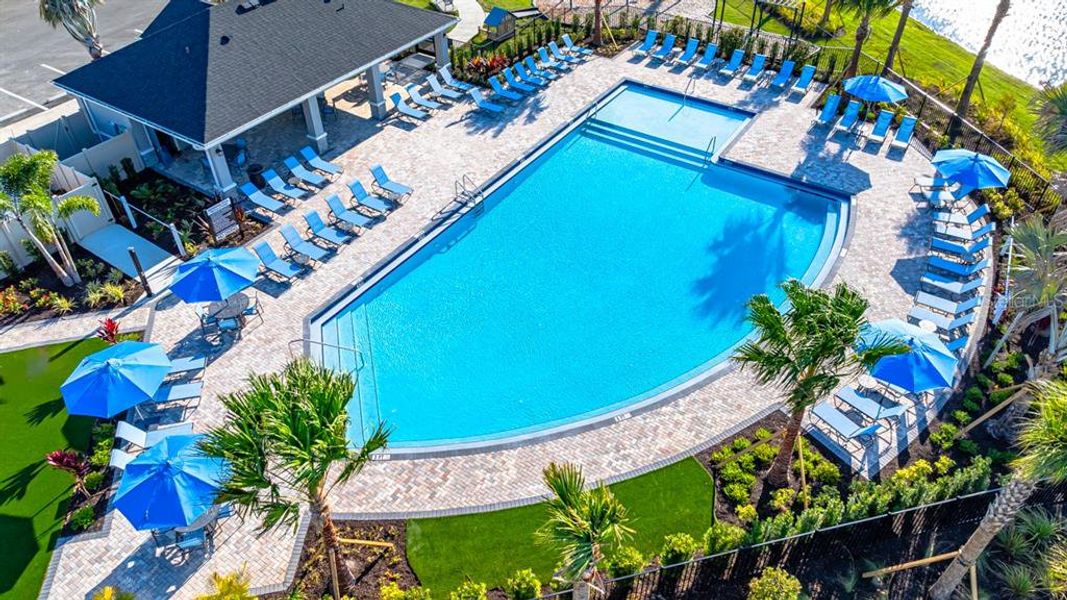 Community amenities in Indigo Creek, Apollo Beach (Image 41).