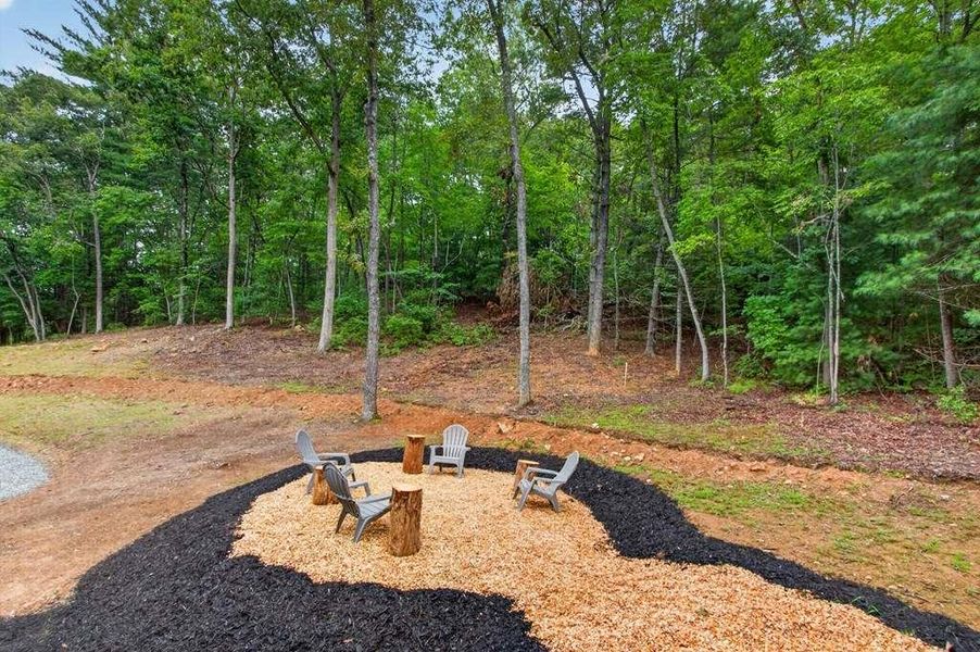 Natural landscape and outdoor views near  in Blue Ridge (Image 24).