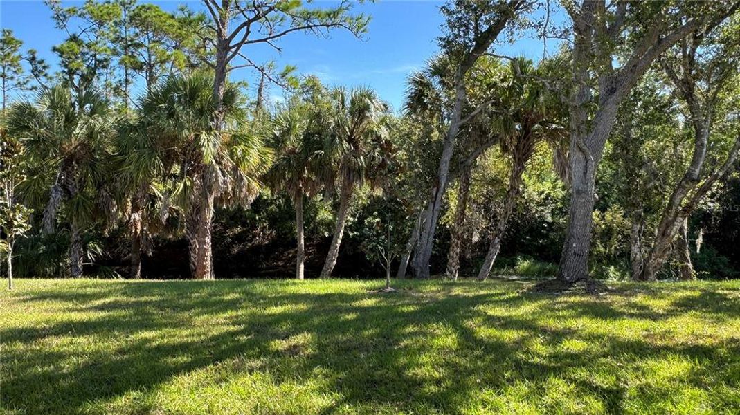 Natural landscape and outdoor views near in North Port (Image 31). Natural landscape and outdoor views near in North Port (Image 31).